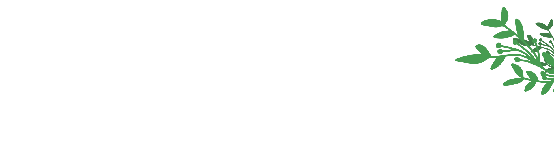 Blätter Illustration