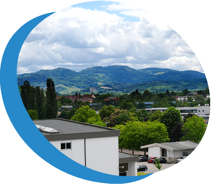 Schwarzwaldblick