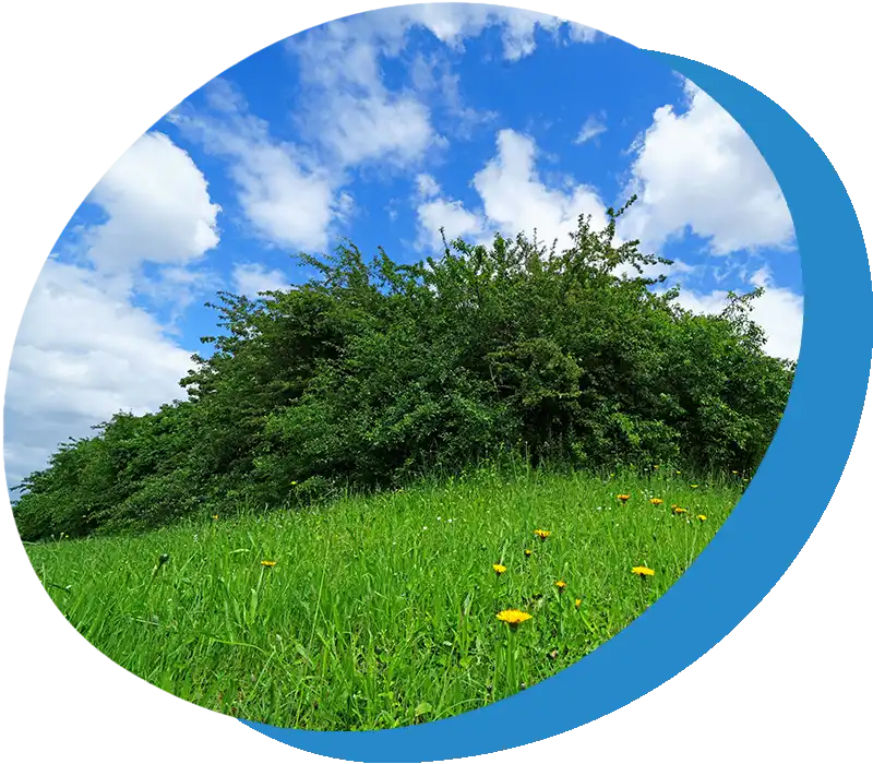 Biotop und Naturschutz auf unserem Firmengelände